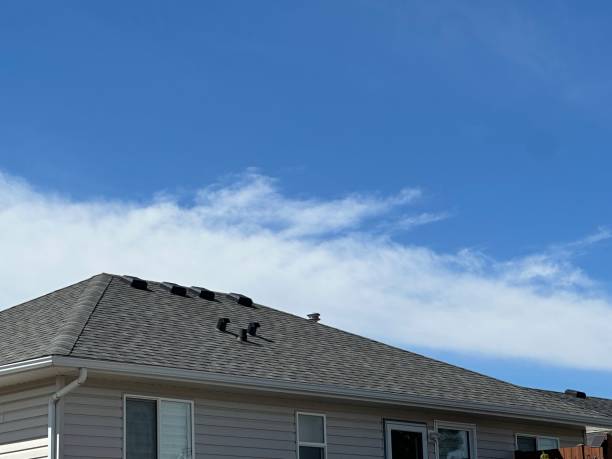 Roof Coating Services in Raleigh Hills, OR